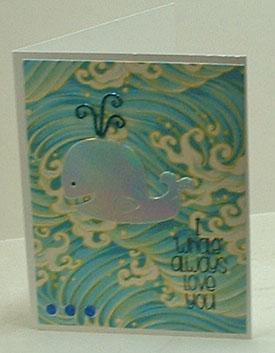 whale love
