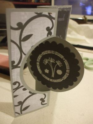 carsd_stl7_001.JPG