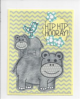 2016_Hippo_birday0001.jpg