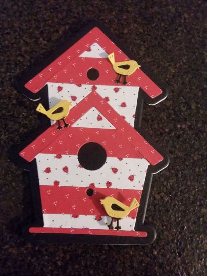 5x7 Birdhouse and Lady Bugs
