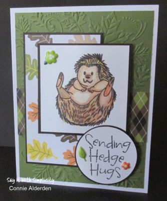 Connie A. Hedge Hogs

