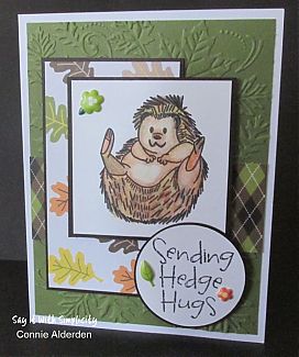 Hedge_Hogs_2.jpg
