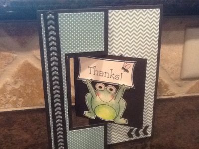 thankful frog
