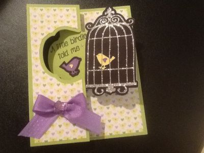 tweeting (outside)
flip it card base received with October club set. had to go with the bird theme of the paper!
