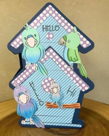 Keywords: BirdhouseFold-it