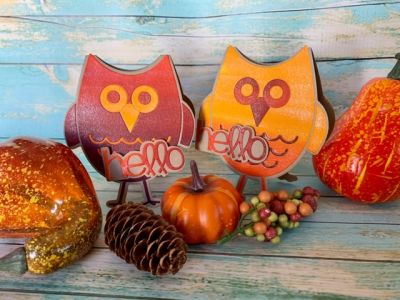 Keywords: Owl Fold-it