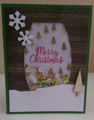 Merry Christmas Shaker
