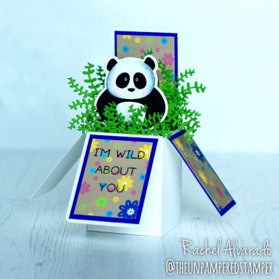 I’m Wild About You
Panda Pudgie Stamps & Dies, TSOL Exclusive Box Card Die Set, Die-succulents TWO (foliage)
