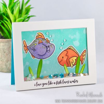 I love you like a fish loves water (shaker card)
Fishes2stamp, Fish Dies, TSOL Stitched Rectangle Dies (to cut out frame), TSOL Cardstock
