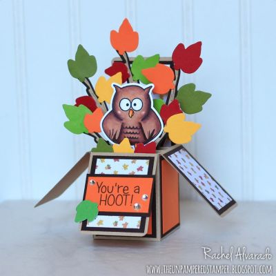 You're A Hoot
Owl Pudgie Stamps & Dies, Box Card Die Set, Sizzix Owls Stamps & Dies (leaves), Happiness Patterned Paper Pad
