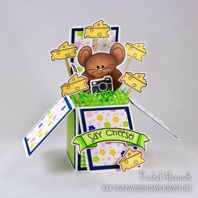 * Say Cheese!
Mousepudgie2stamp, Box Card Die Set, Grass Die, Camera2stamp, Camera Die Set, Morechalksayings2stamp (banner), Banner Dies
Keywords: BoxCardDies Morechalksayings2stamp Camera2stamp GrassDie