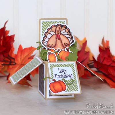 Happy Thanksgiving Box Card
Turkey Pudgie, TSOL Exclusive Box Card Die Set, Sizzix Balloons Step-ups Card Die Set (I used the balloon strings for the vines), Sizzix Owls Stamps & Dies (leaves)
