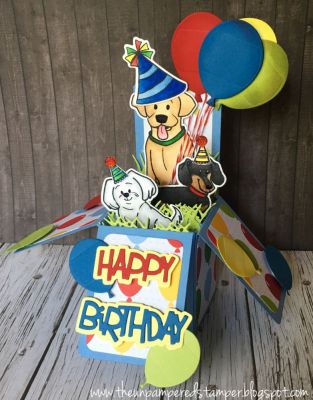 Dogs in a Box Birthday Card!
Box Card Die Set
Friends4Cookie
Friends4Cookie Dies
Birthday4Cookie
Sizzix Balloons Step-ups Die Card Set
Late4Bday
Happy Collection Patterned Paper


Keywords: boxcarddies
