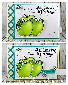Apple_Slider_Card_2_View.JPG