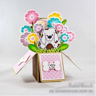 Dog_Box_Card_View_1.JPG