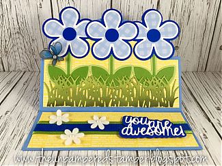 You_Are_Awesome_28View_2_SMALL29.JPG