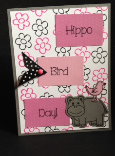 Hippo bird day
