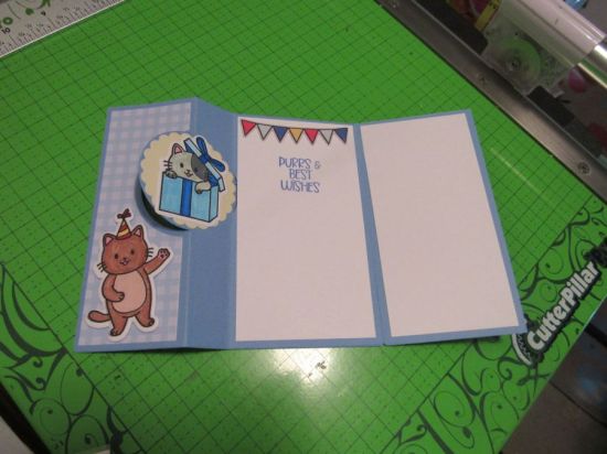 Birthday Cat
Made for Cards for Cubs
