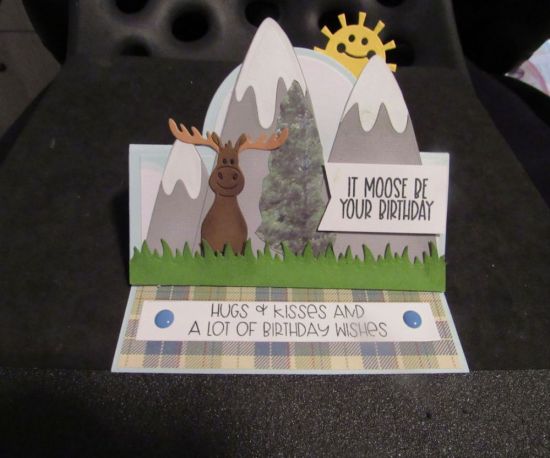 Birthday card
Birthday card for my grandson's 15th birthday.  He will think it's a hoot!
