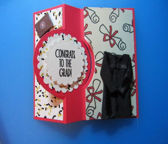Jen's DNP graduation card-inside
In addition to TSOL products, I used some Jolee's stickers and a doctoral tam I made from scratch.  This card was made to celebrate my daughter's Doctorate of Nursing Practice graduation.  When the pandemic hit, my daughter went back to earn her doctorate.  Me?  I just sat making cards! 
