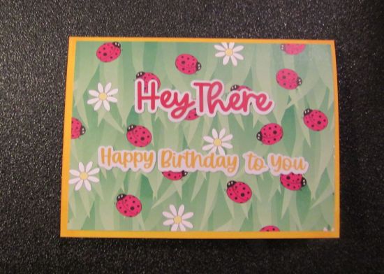 Loveable Ladybug Birthday Card
For Cards for Cubs

