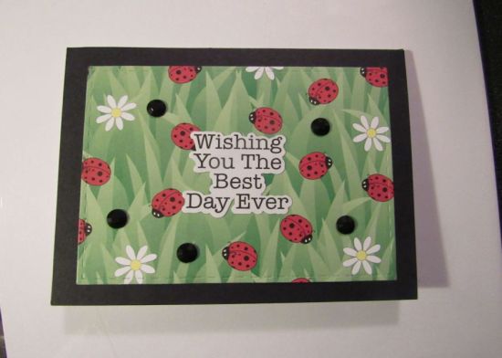 Ladybug Birthday
For Cards for Cubs
