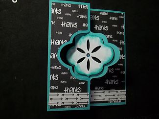 100_3229_resized.JPG