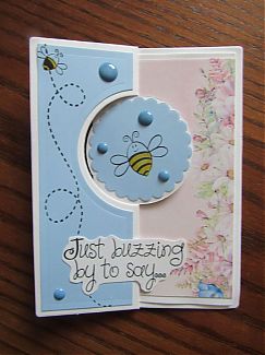 Buzzing_by_1.jpg