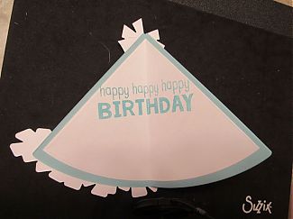 HSN_birthday_hat_inside_resized.jpg