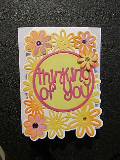 IMG_0742_resized.jpg