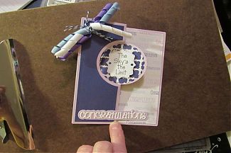 IMG_2388-resized.jpg