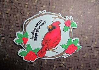 IMG_5367_resized.jpg