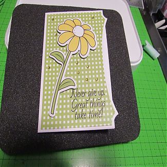 IMG_5393_resized.jpg