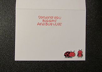 Ladybug_1_inside_resized.jpg