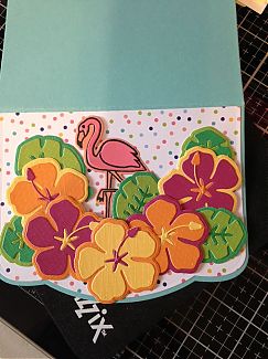 IMG_5014.JPG