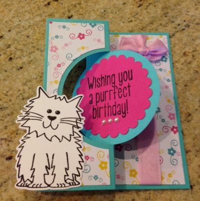 Purrfect Birthday
