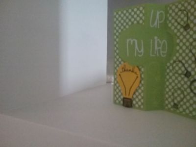you light up my life
