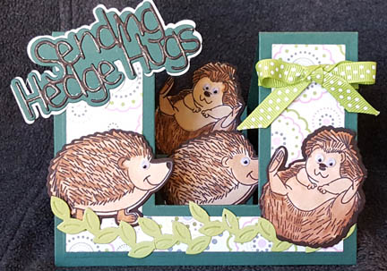 Many Medgehog Hugs
Keywords: hedgehogs step-up 