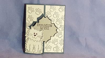 From Meow to Me Outside
Keywords: cat meow knead flip-it