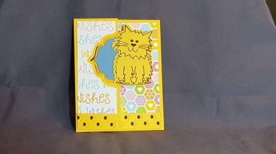 Purfect Day Outside
Keywords: cat birthday purr