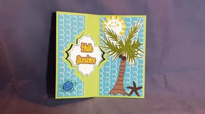 Tropical Turtle Inside
Keywords: Charming Flip-it turtle sunside palm tree