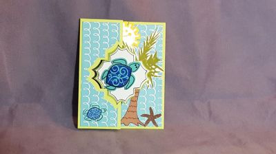 Tropical Turtle Outside
Keywords: Charming Flip-it turtle sunside palm tree
