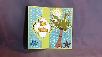 flip-it_turtle_sunshine_inside.jpg