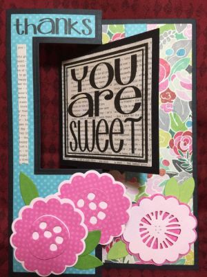 You Are Sweet 5 x 7 Card
Sizzix Square Flip-it's Card Die Set - 5 x 7
Sizzix Rectangle Flip-it's Gift Card Die Set (flowers & leaves)
Youare2square Stamps
