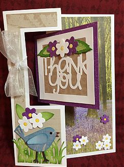 image~46.jpg