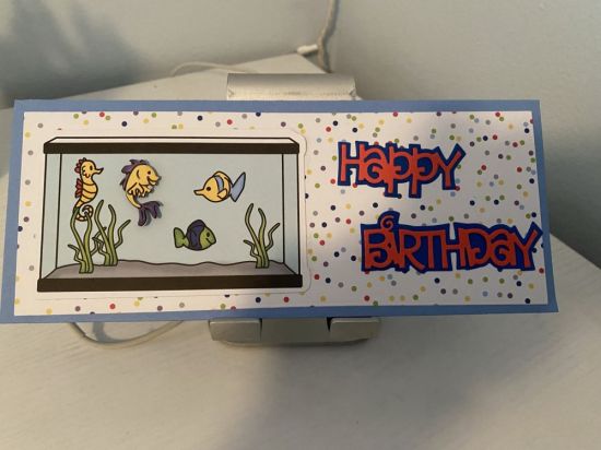 A cute birthday card using the January 2021 kit and the slim line die
Keywords: Slim line
