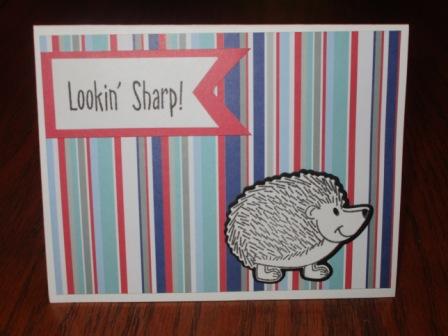 Looking Sharp
This card uses papers from the Mar and Jul card kits

