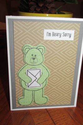 Beary Sorry
