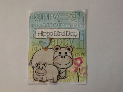 Hippo bird day
