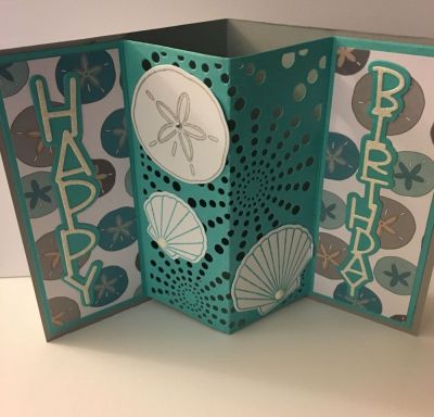 3-D POP Up Drop in with Shells
